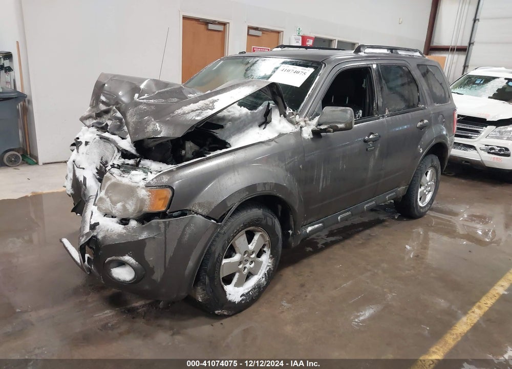 2011 FORD ESCAPE XLT VIN: 1FMCU9DG1BKC11904