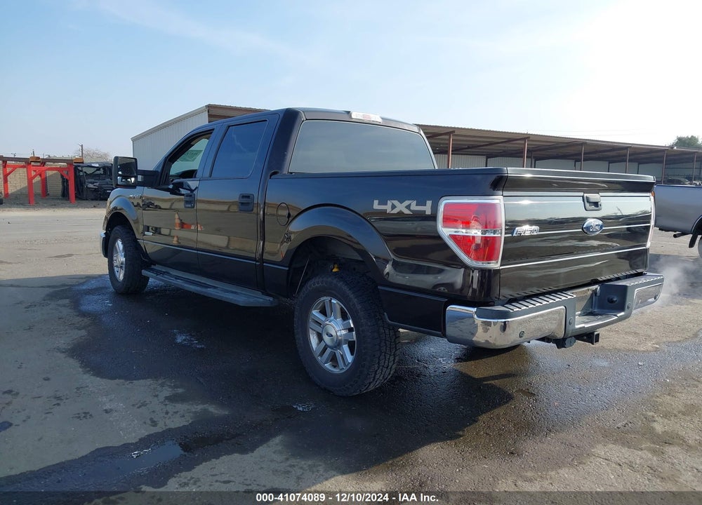 2013 FORD F-150 XLT VIN: 1FTFW1ET7DFB24089