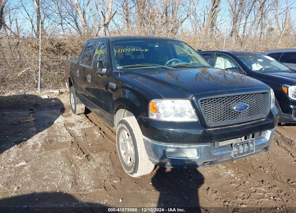 2004 FORD F-150 XLT VIN: 1FTRW14W34KB74875