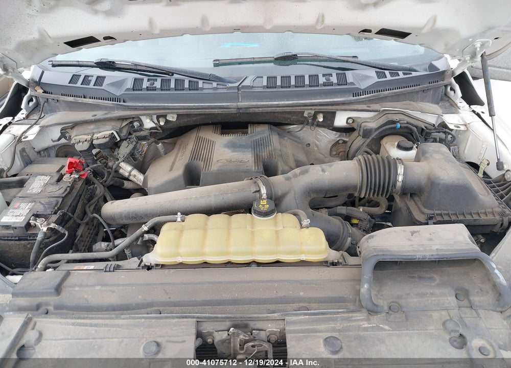 2019 FORD F-150 XL VIN: 1FTFX1E46KKE82973