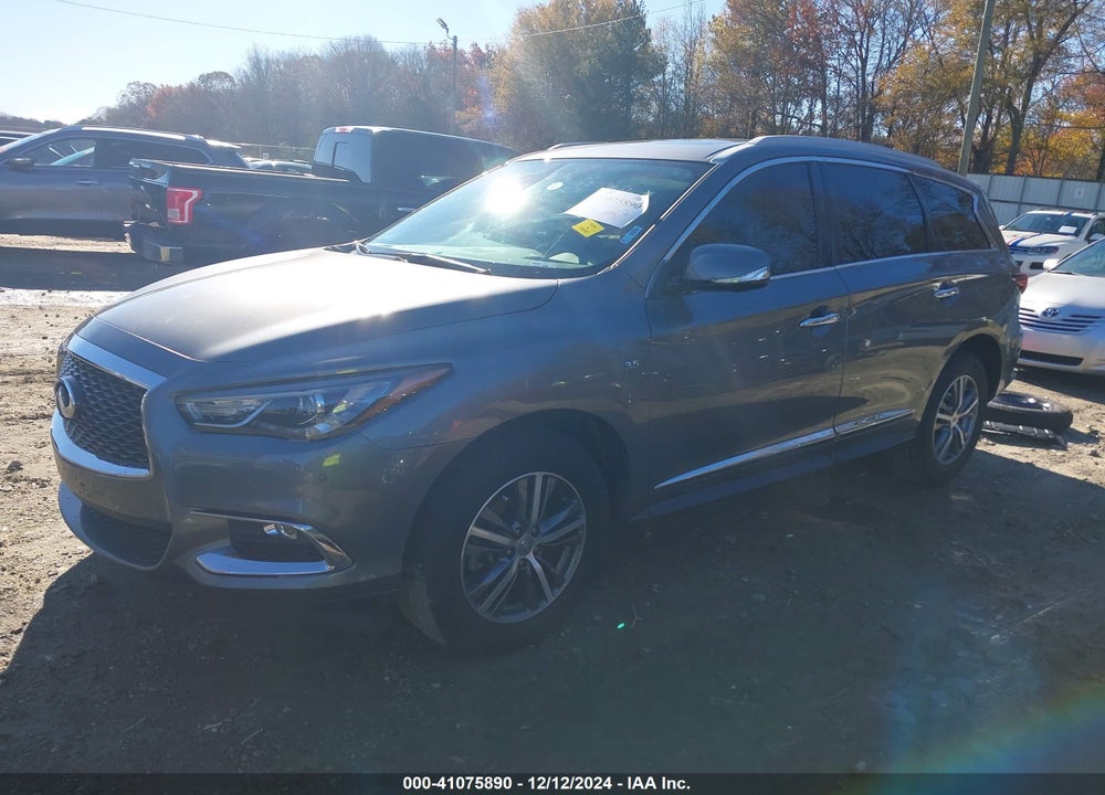 2020 INFINITI QX60 LUXE AWD VIN: 5N1DL0MM1LC521507