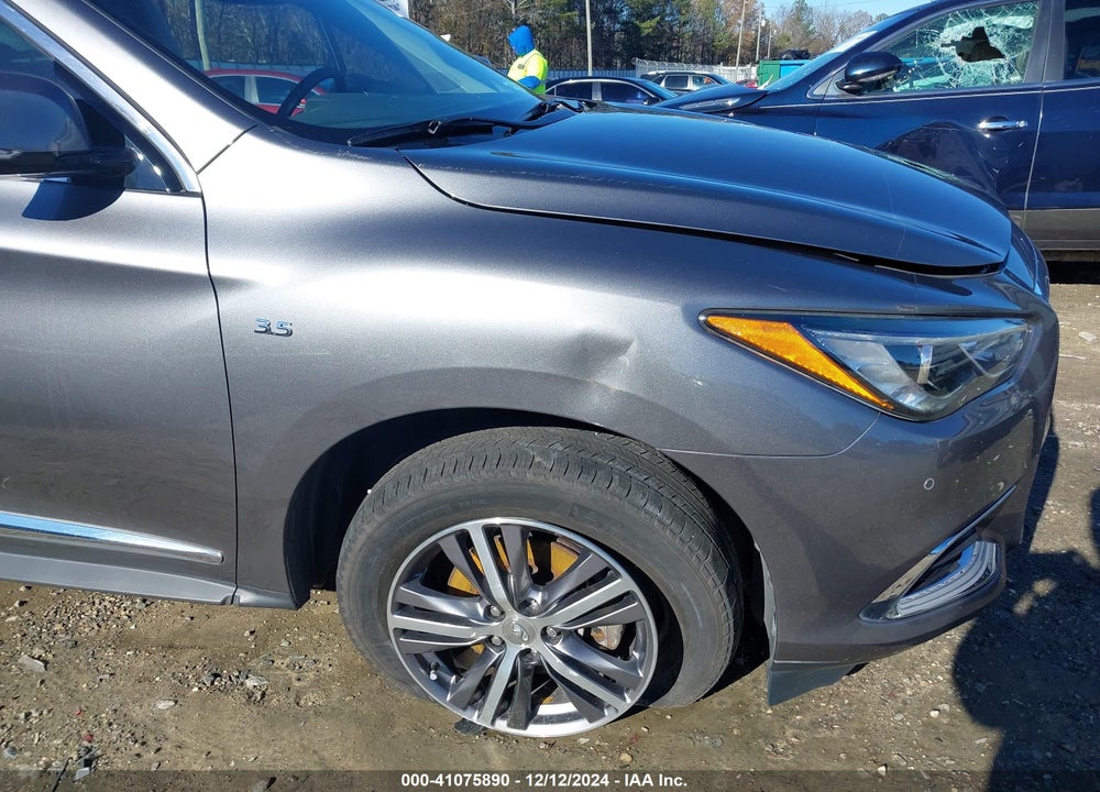 2020 INFINITI QX60 LUXE AWD VIN: 5N1DL0MM1LC521507