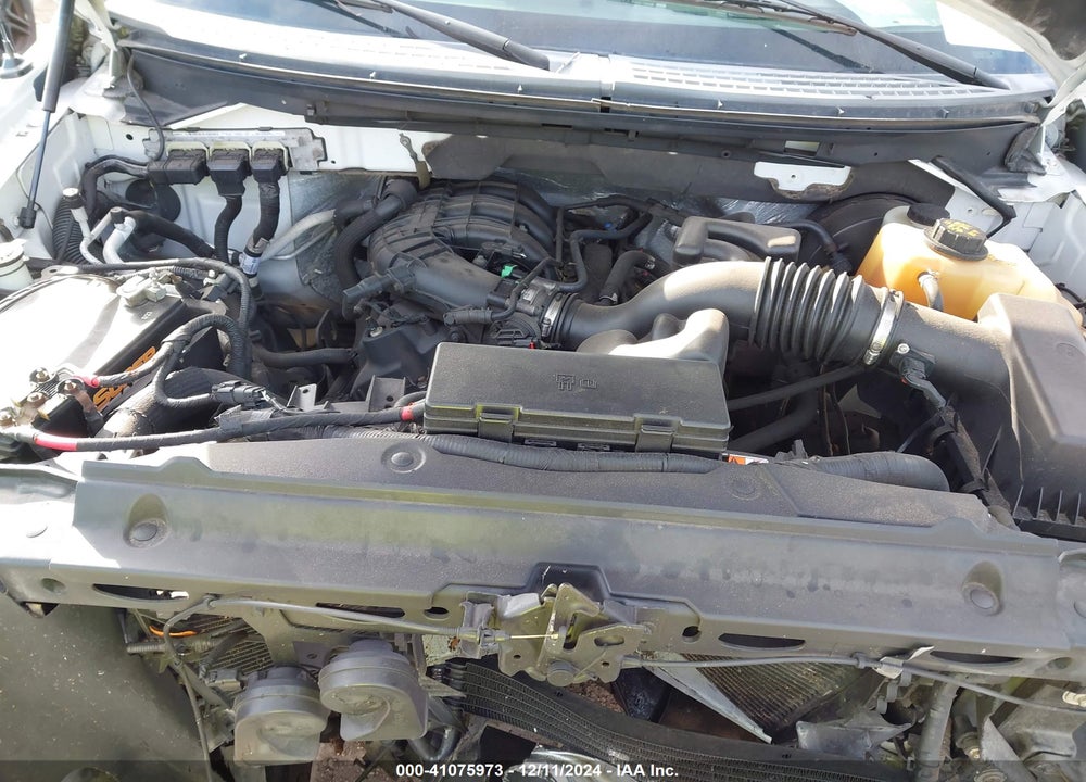 2011 FORD F-150 XLT VIN: 1FTEX1CM3BFB68902