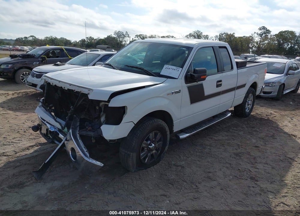 2011 FORD F-150 XLT VIN: 1FTEX1CM3BFB68902
