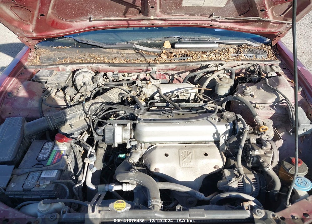 1997 HONDA ACCORD LX VIN: 1HGCD7238VA034191