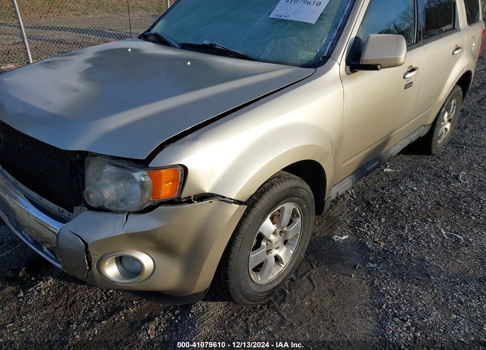 2010 FORD ESCAPE LIMITED VIN: 1FMCU9EGXAKA62406