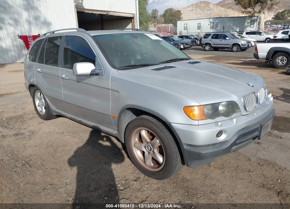 2002 BMW X5 4.4I VIN: 5UXFB33502LH38039