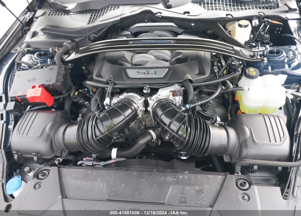 2024 FORD MUSTANG VIN: 1FA6P8R06R5500533