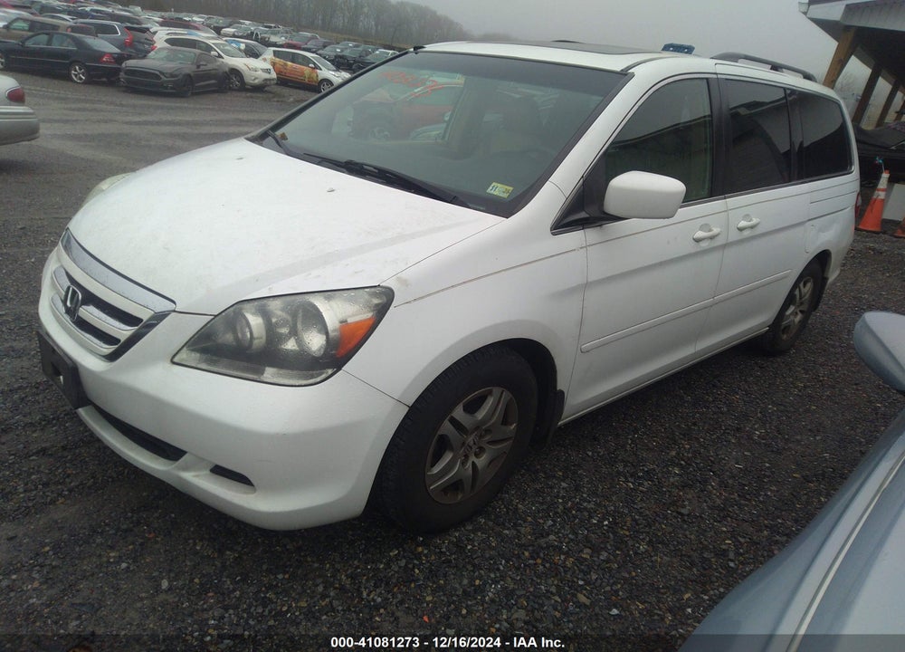 2005 HONDA ODYSSEY EX-L VIN: 5FNRL38755B117454