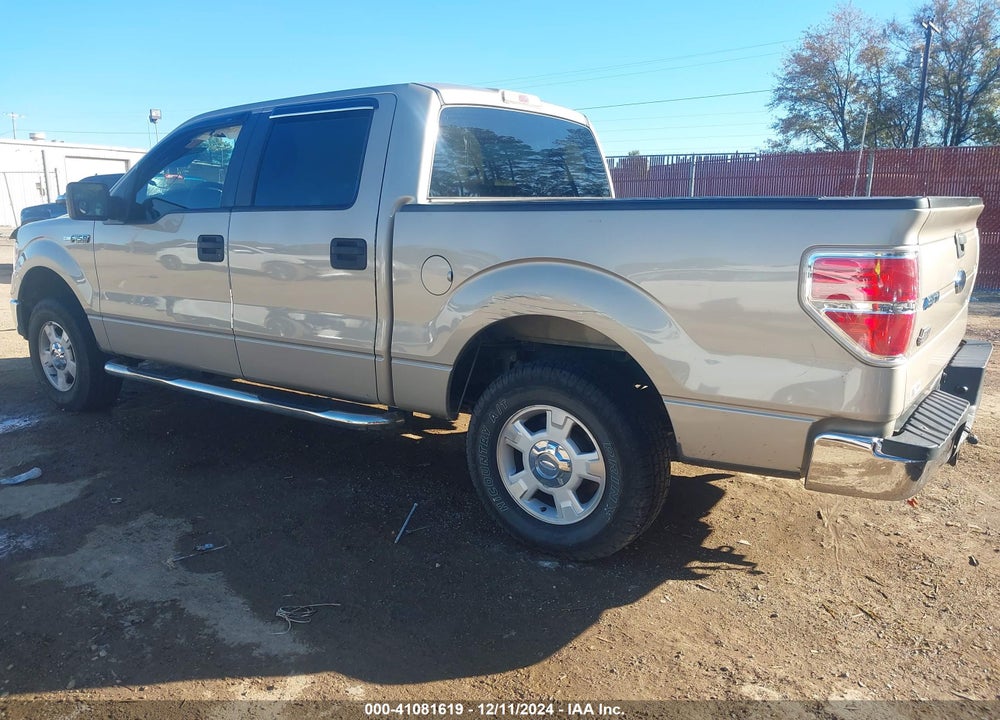 2010 FORD F-150 XLT VIN: 1FTEW1C84AFC56474