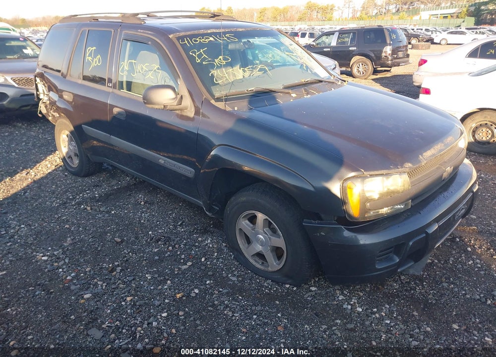 2004 CHEVROLET TRAILBLAZER LS VIN: 1GNDT13SX42150484
