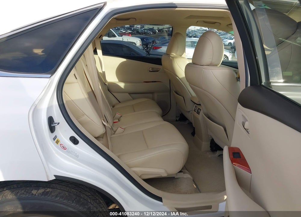 2010 LEXUS RX 350 VIN: 2T2ZK1BA0AC029059