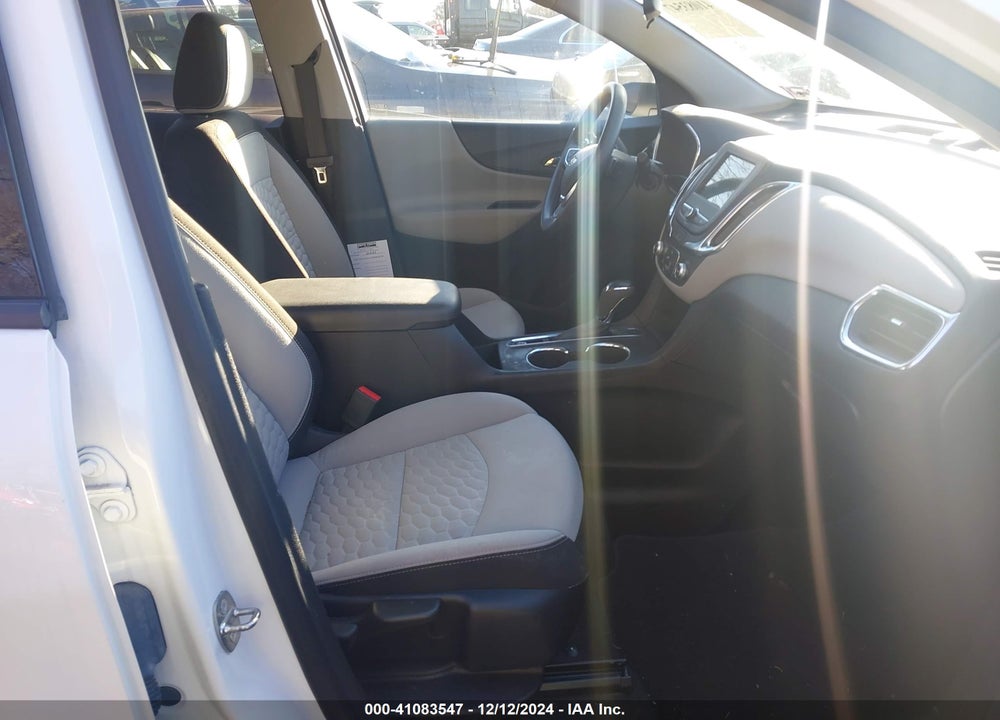 2019 CHEVROLET EQUINOX LS VIN: 2GNAXSEV1K6210737