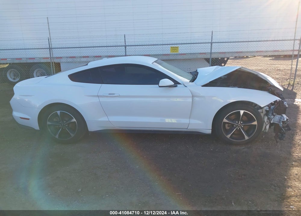 2019 FORD MUSTANG VIN: 1FA6P8TH7K5120640