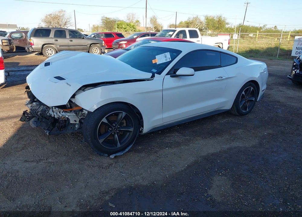 2019 FORD MUSTANG VIN: 1FA6P8TH7K5120640