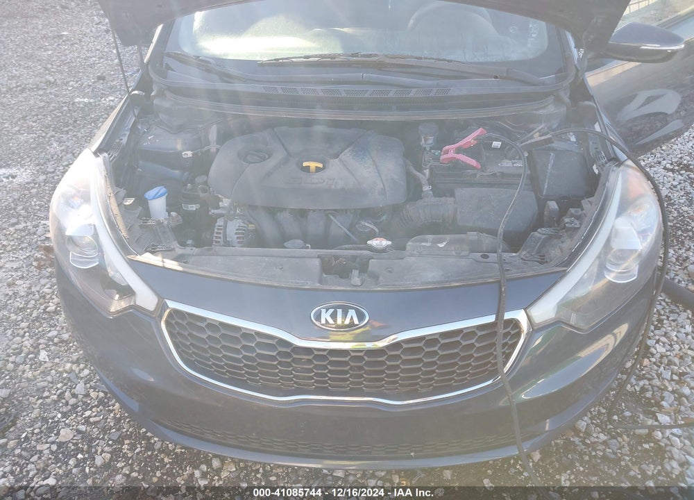 2016 KIA FORTE LX VIN: KNAFK5A83G5606988