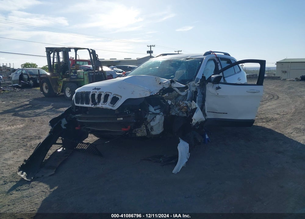 2020 JEEP CHEROKEE TRAILHAWK 4X4 VIN: 1C4PJMBX9LD529103