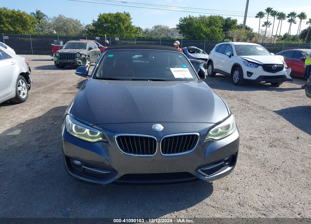 2017 BMW 230I VIN: WBA2K9C30HV950450