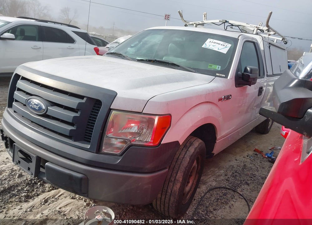 2011 FORD F-150 XL VIN: 1FTMF1CM7BKD68896