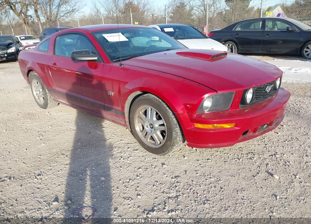 2008 FORD MUSTANG GT DELUXE/GT PREMIUM VIN: 1ZVHT82H085141870
