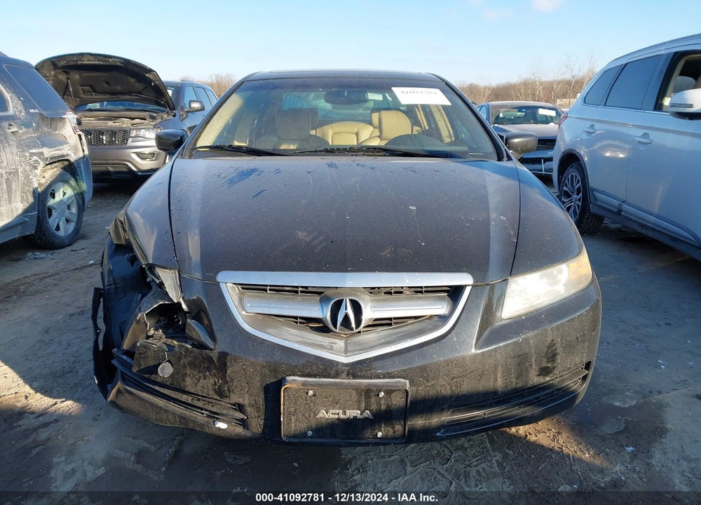 2004 ACURA TL VIN: 19UUA66254A037671