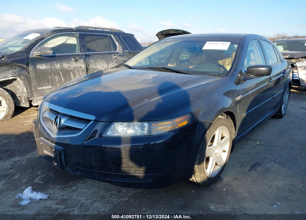 2004 ACURA TL VIN: 19UUA66254A037671