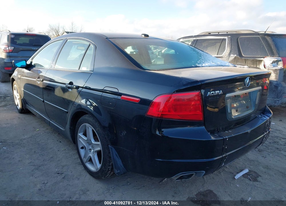 2004 ACURA TL VIN: 19UUA66254A037671