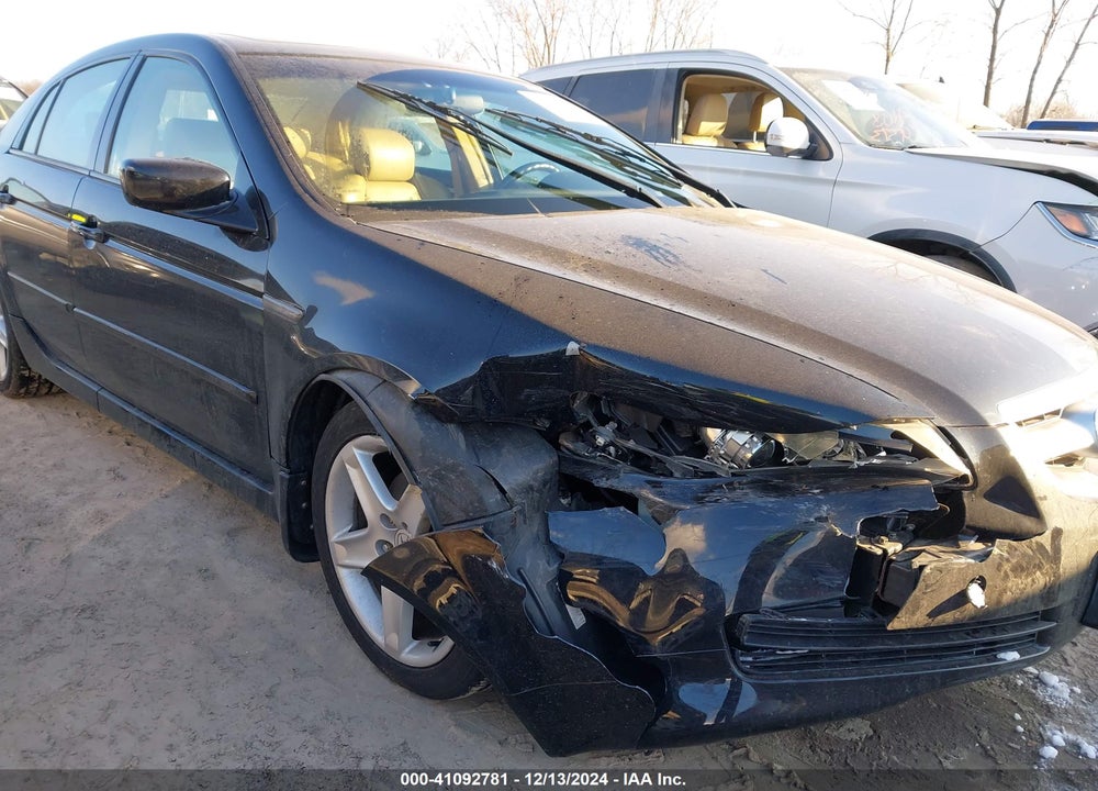 2004 ACURA TL VIN: 19UUA66254A037671