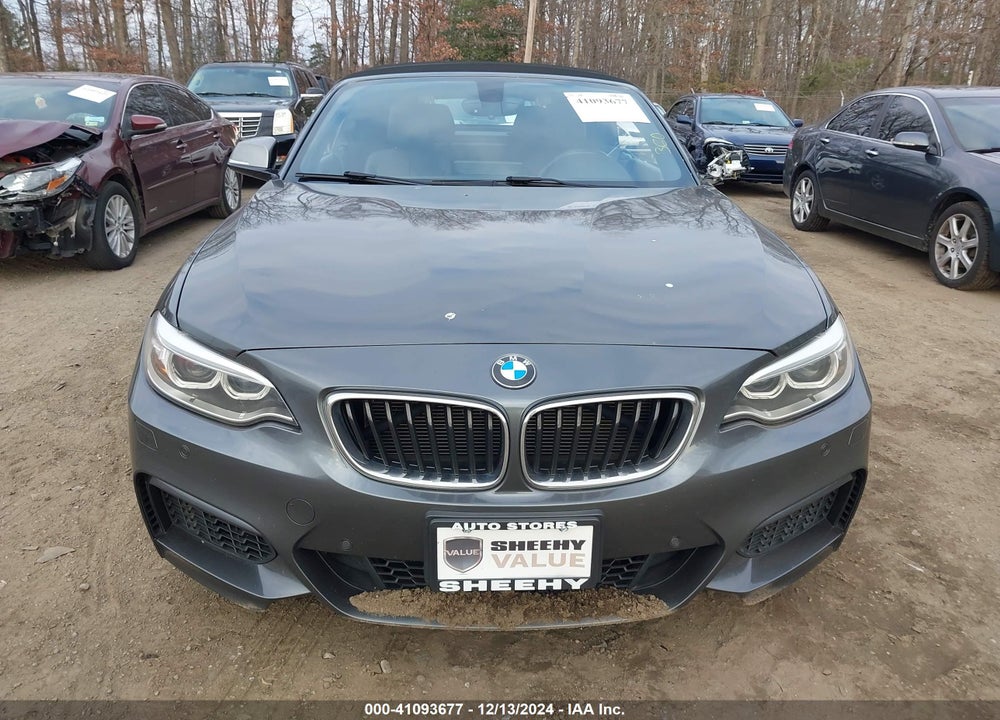 2015 BMW M235 VIN: WBA1M1C51FV393702