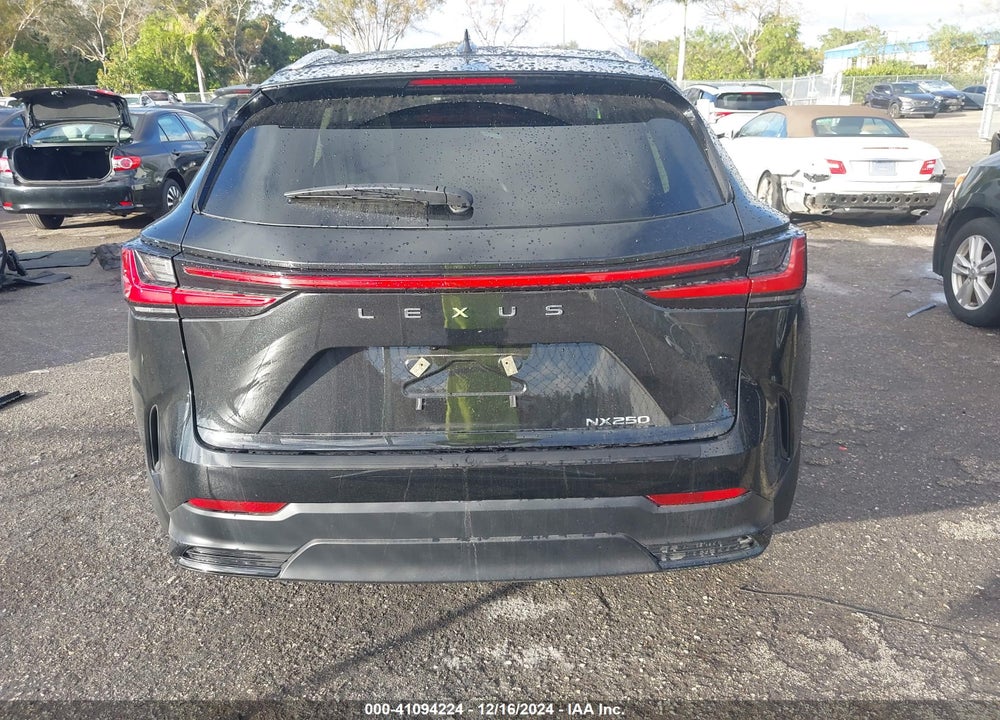 2024 LEXUS NX 250 VIN: 2T2ADCAZXRC014428