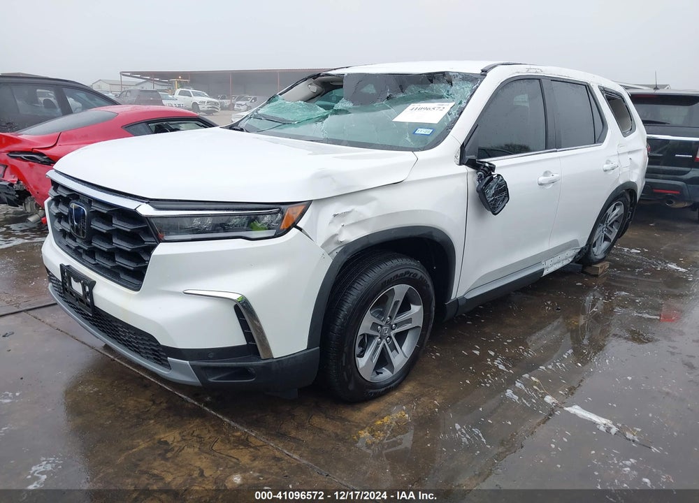 2024 HONDA PILOT EX-L VIN: 5FNYG2H48RB007228