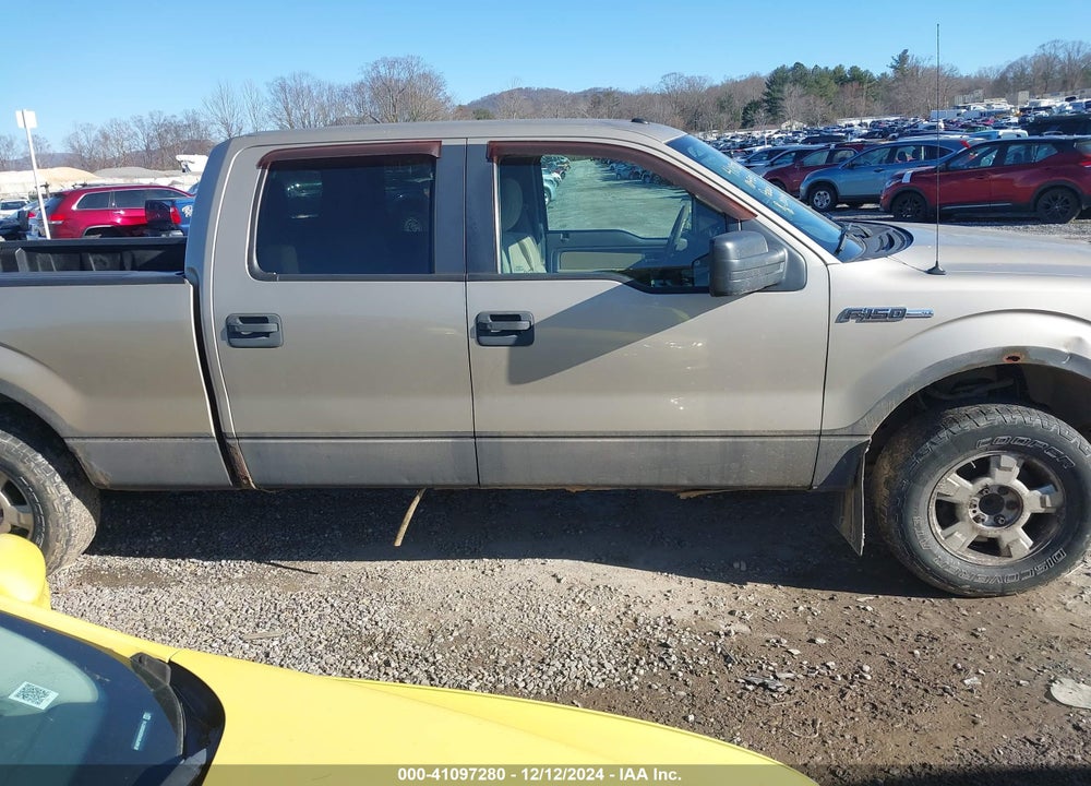 2010 FORD F-150 XL/XLT VIN: 1FTFW1E87AFC93083
