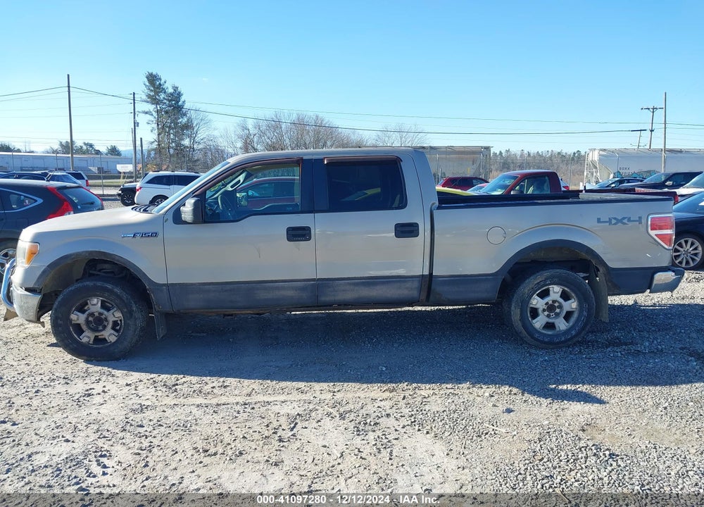 2010 FORD F-150 XL/XLT VIN: 1FTFW1E87AFC93083
