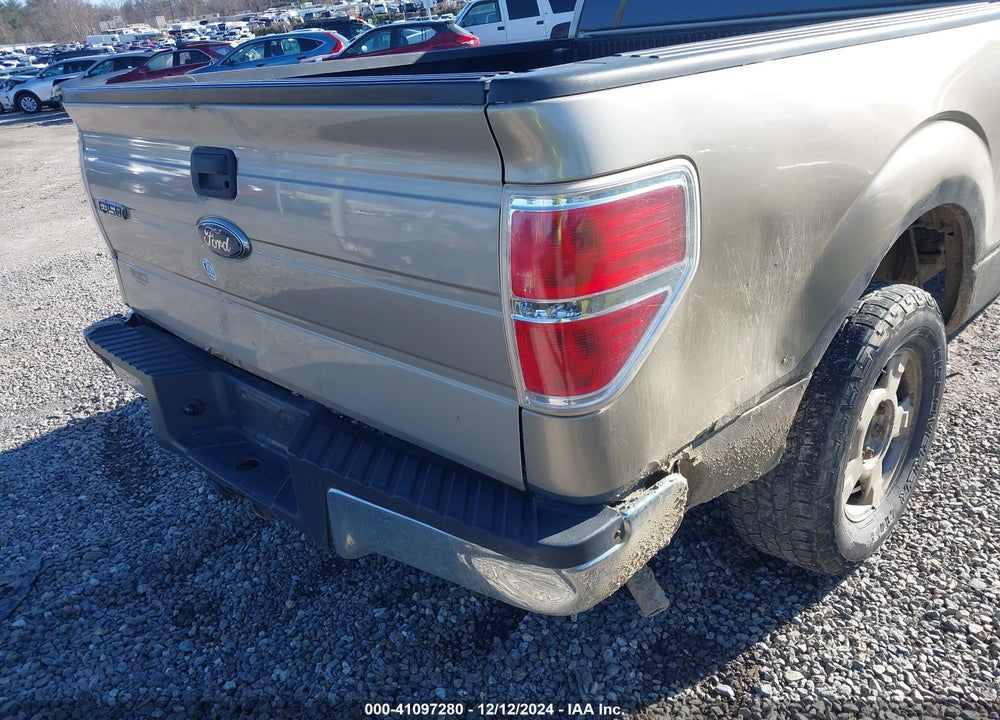 2010 FORD F-150 XL/XLT VIN: 1FTFW1E87AFC93083