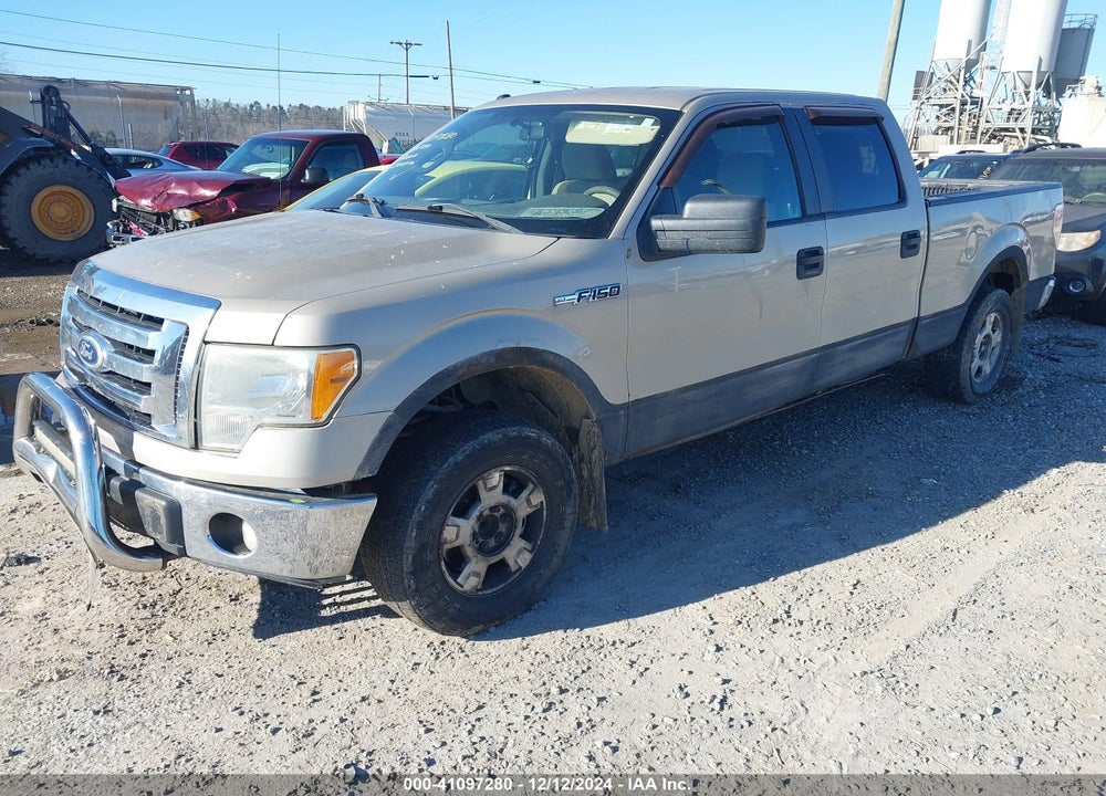 2010 FORD F-150 XL/XLT VIN: 1FTFW1E87AFC93083