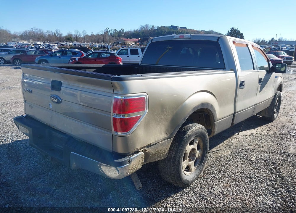 2010 FORD F-150 XL/XLT VIN: 1FTFW1E87AFC93083