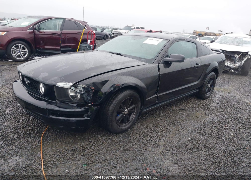 2006 FORD MUSTANG VIN: 1ZVFT80N565161531
