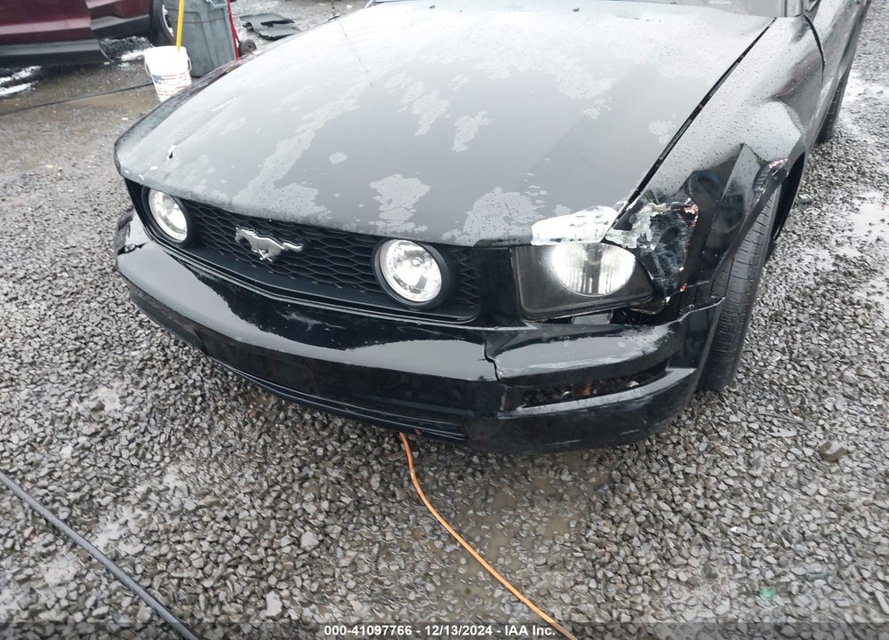 2006 FORD MUSTANG VIN: 1ZVFT80N565161531