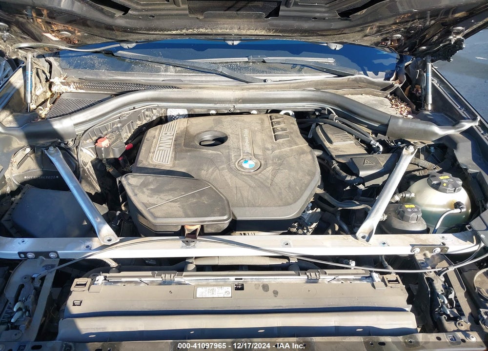 2019 BMW X3 SDRIVE30I VIN: 5UXTR7C5XKLR50255