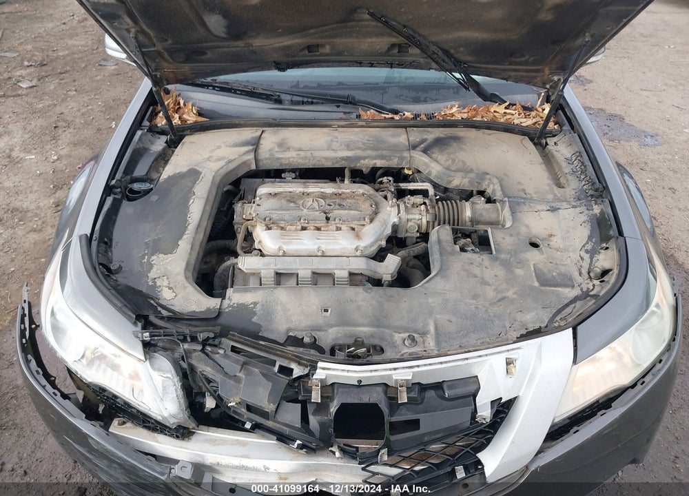 2009 ACURA TL VIN: 19UUA86549A012855
