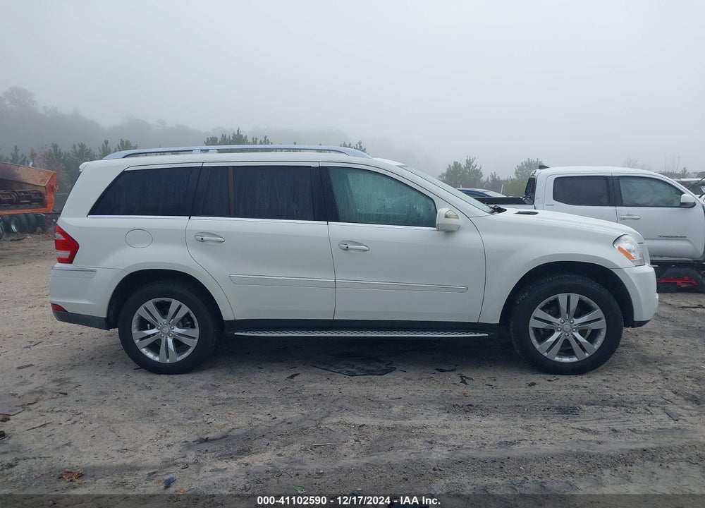 2010 MERCEDES-BENZ GL 450 4MATIC VIN: 4JGBF7BEXAA583418