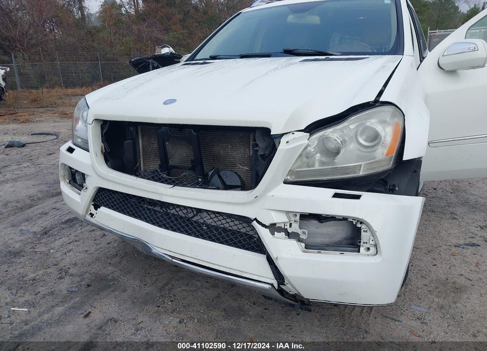 2010 MERCEDES-BENZ GL 450 4MATIC VIN: 4JGBF7BEXAA583418