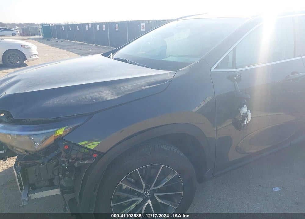 2024 LEXUS NX 250 VIN: 2T2GDCAZ0RC008020