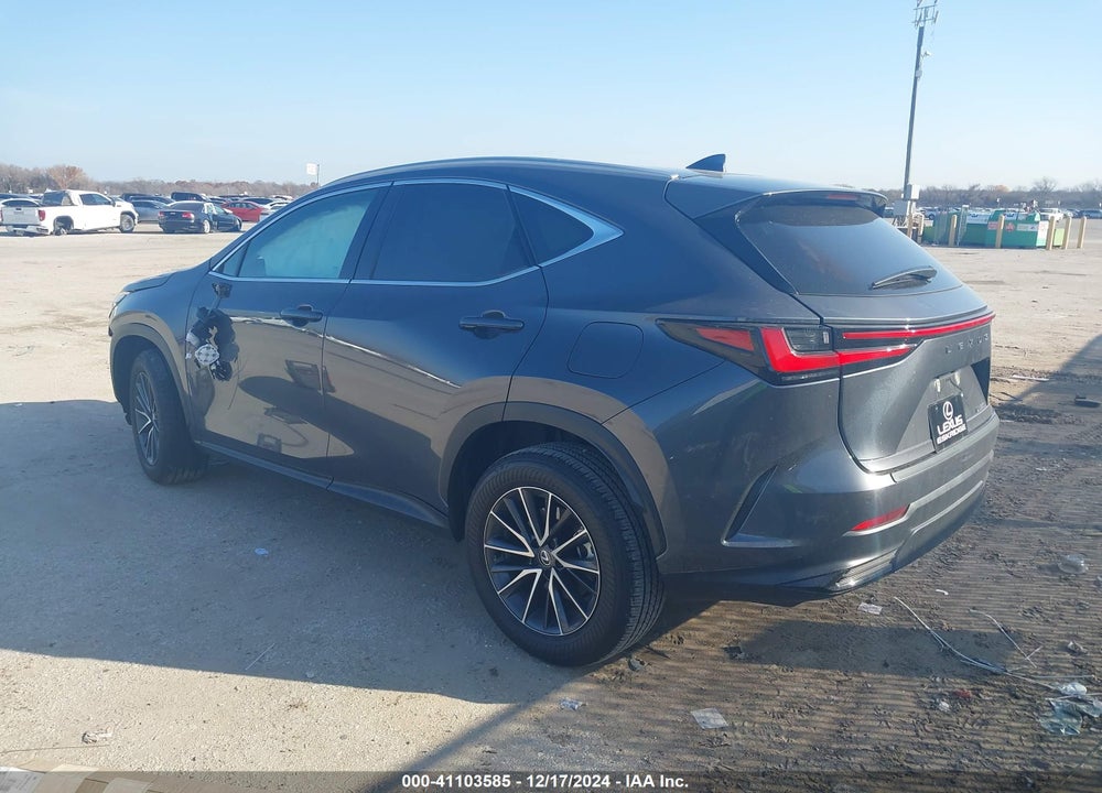 2024 LEXUS NX 250 VIN: 2T2GDCAZ0RC008020