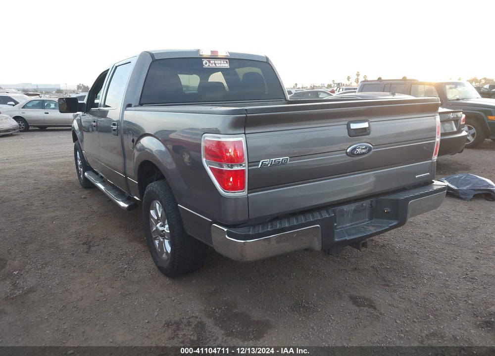 2014 FORD F-150 XLT VIN: 1FTEW1CM1EFB99895