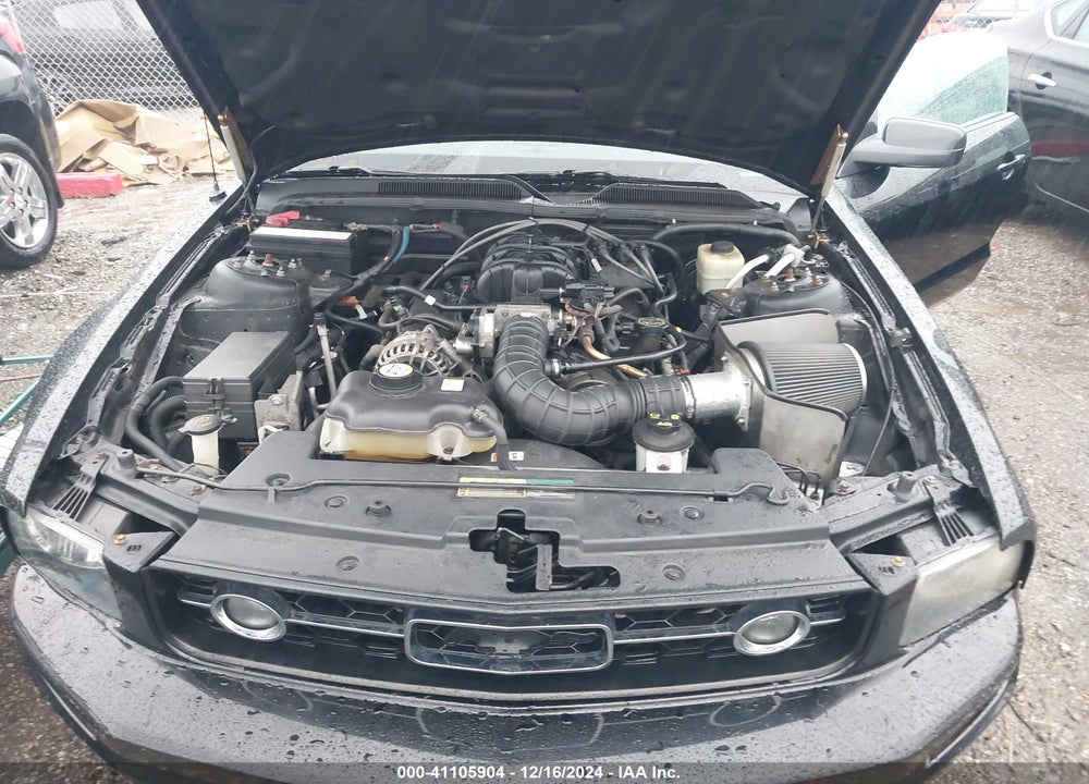 2006 FORD MUSTANG VIN: 1ZVHT80N365265170