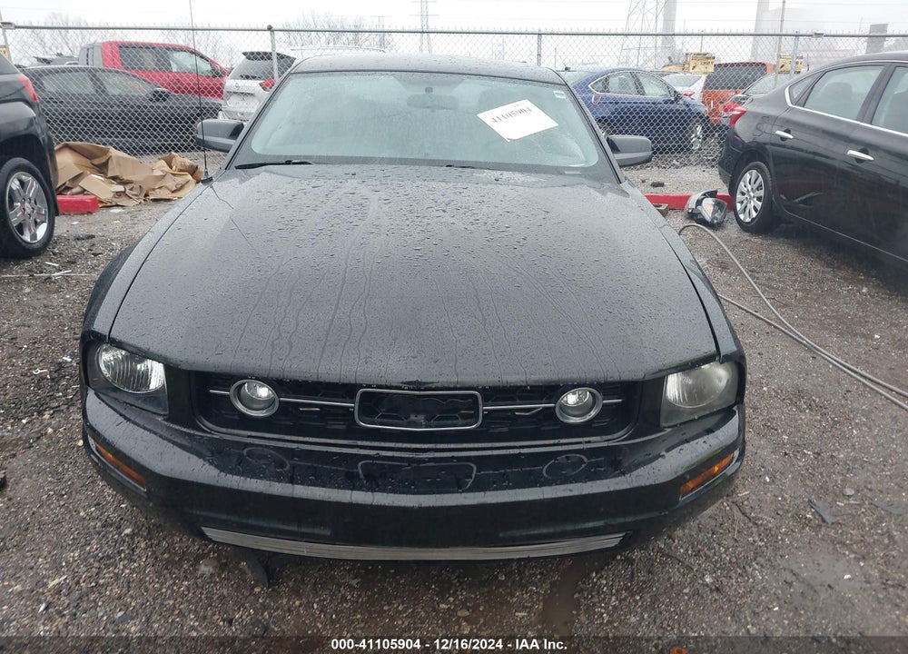 2006 FORD MUSTANG VIN: 1ZVHT80N365265170