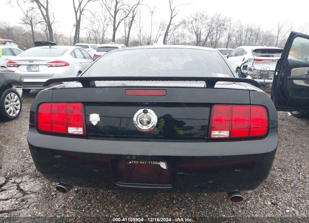 2006 FORD MUSTANG VIN: 1ZVHT80N365265170