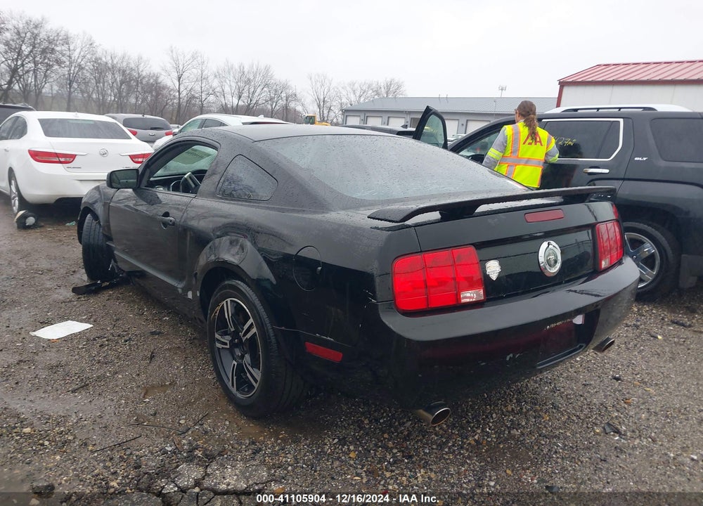2006 FORD MUSTANG VIN: 1ZVHT80N365265170