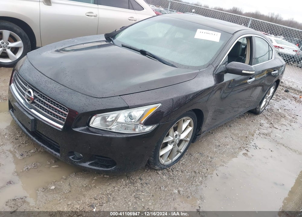 2010 NISSAN MAXIMA 3.5 SV VIN: 1N4AA5AP7AC866052